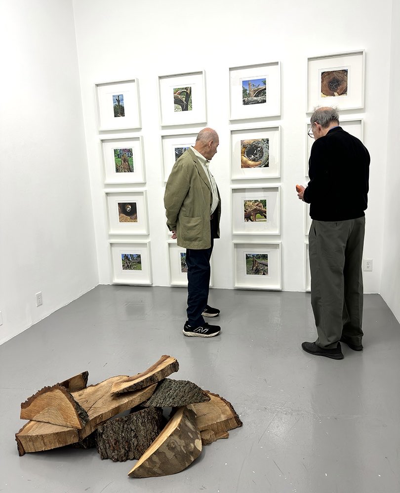 bdavidgallery's tweet image. Currently on view:
Jean Mason: “Broken, But Beautiful”
Through Saturday October 25
Artist Talk: Saturday, October 18, 4 pm
7513 Forsyth Blvd, St. Louis, MO 

#STLnews #stlart #stlartgallery #brunodavidgallery