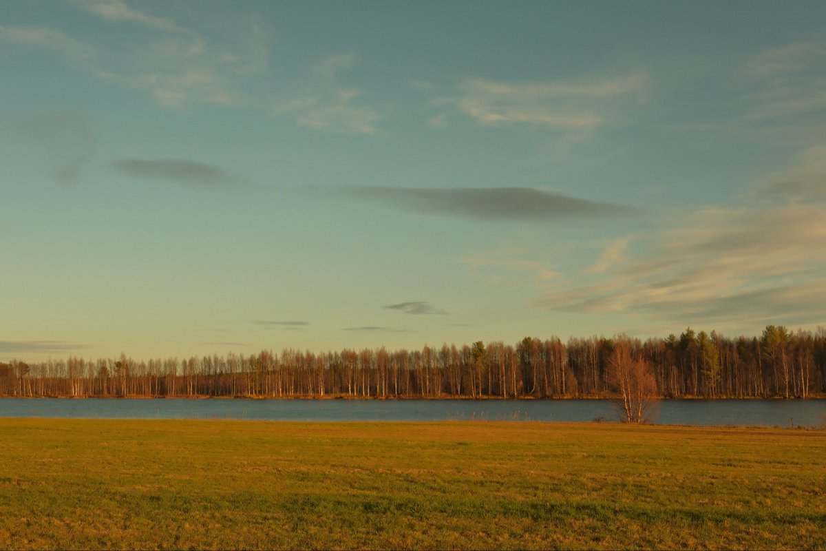 𝔪𝔞𝔣 tweet media