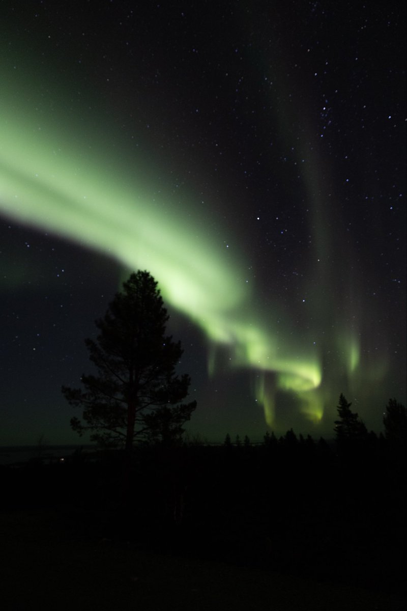 𝔪𝔞𝔣 tweet media