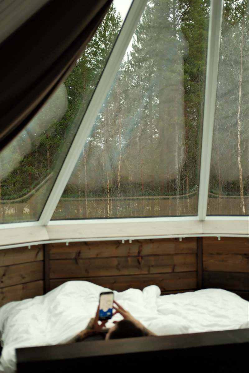 𝔪𝔞𝔣 tweet media