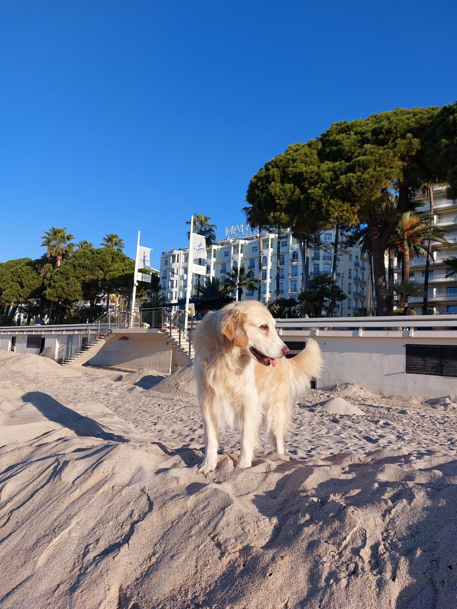 financefelix's tweet image. 🎧 New Episode Alert!
🚀 Dive into the podcast version of today's livestream!
🔗 Find us on Buzzsprout: buzzsprout.com/admin/1920505/…
🟢 Hit play on Spotify: open.spotify.com/show/5uV7IpkAd…
Don't miss out on the latest episode