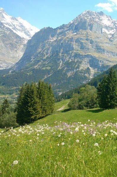 kunityu's tweet image. 登山で疲れた 🙏