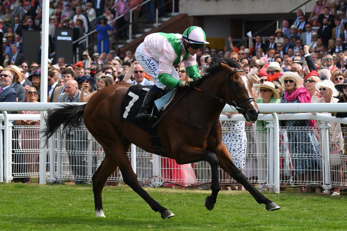 StallionInvest2's tweet image. 🏆 TRACK RECORD BREAKER 🏆

ROYAL SCOTSMAN made history at Goodwood! ⚡

Setting the FASTEST Richmond Stakes ever run over six furlongs for two-year-olds - outpacing legends like Mehmas, Vandeek, Land Force, Golden Horde, Supremacy, and Asymmetric. 🔥

This is what elite…