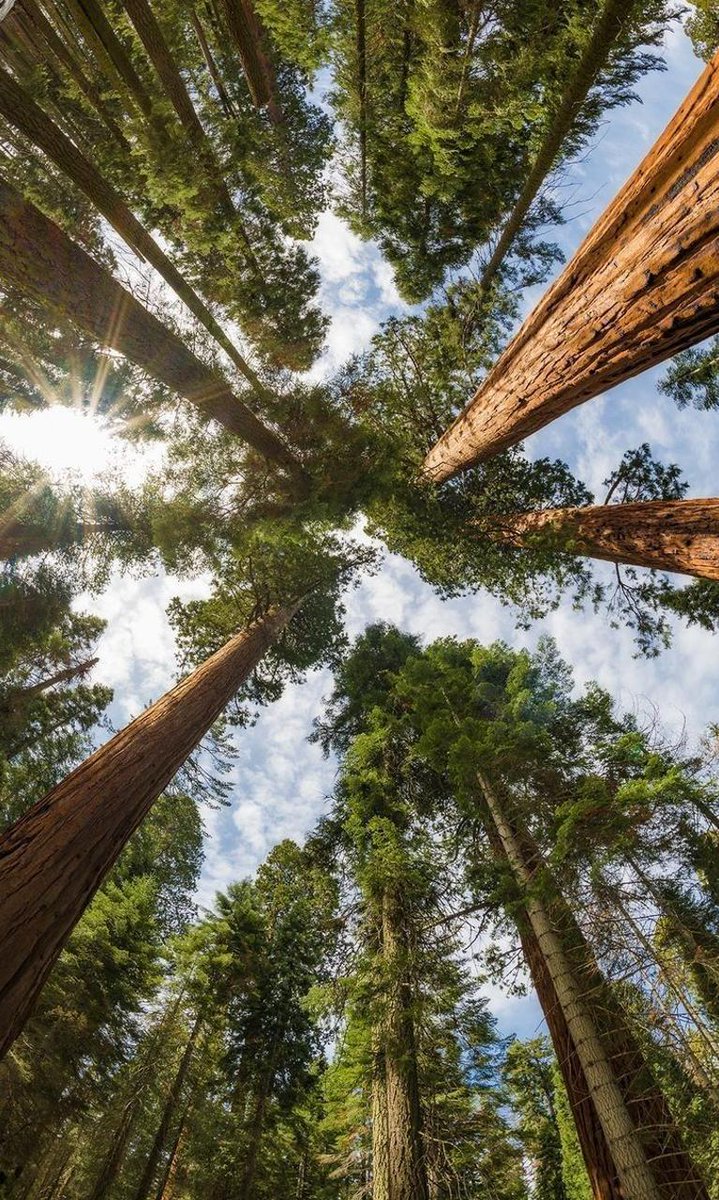 logangs1618's tweet image. 深さで泳ぐ 🤞