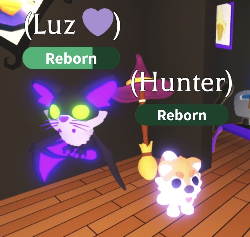 G97_Roblox's tweet image. ✨️🦉🏠