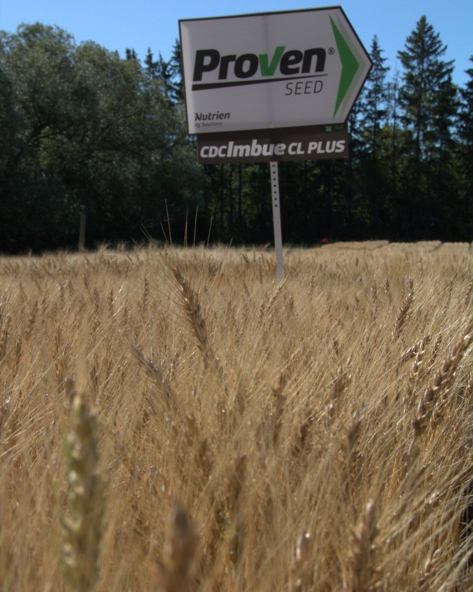 Proven Seed tweet media