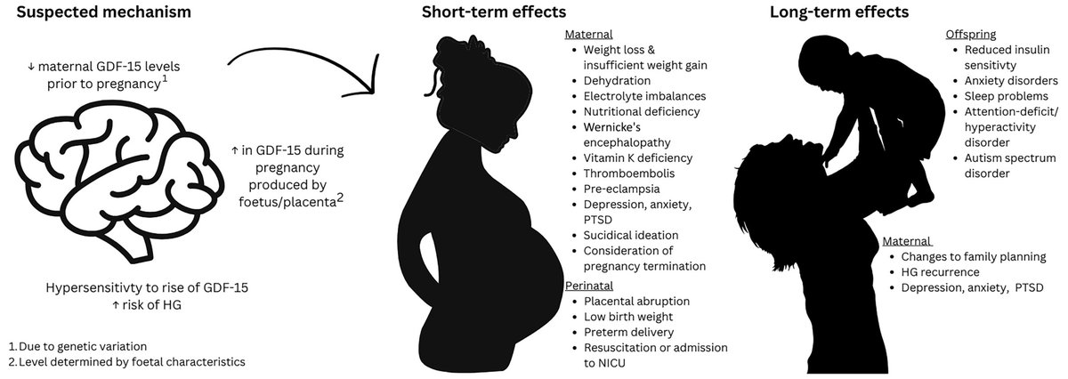 "The impact and management of hyperemesis gravidarum: Current and future perspectives" by van der Minnen et al.

#HyperemesisGravidarum #MaternalHealth #TrendingIJGO #OpenAccess

doi.org/10.1002/ijgo.7…