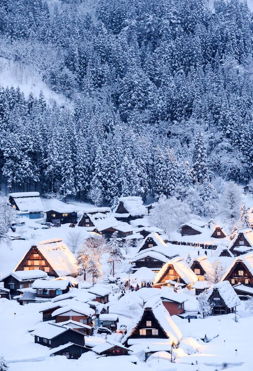 LianeFast's tweet image. 夜は楽しいです 👧