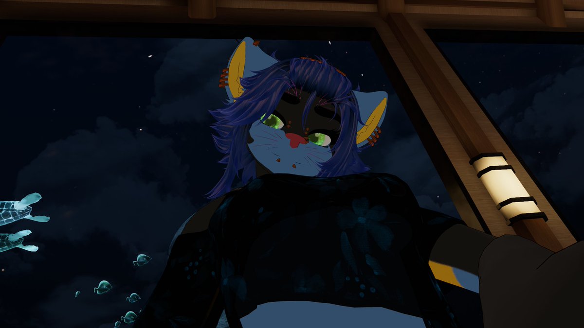 Cait_the_Blackcat tweet media