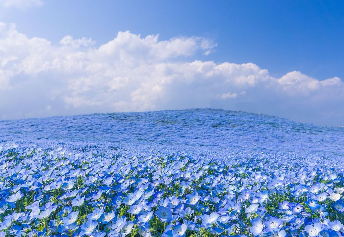 lorjay33's tweet image. 締切がある 🧑