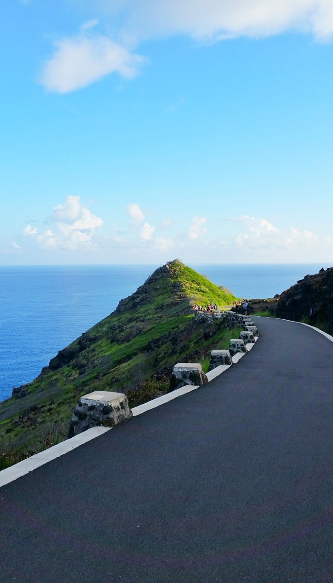 makingthemoon's tweet image. 鳥はいつでしょう？ 🦈