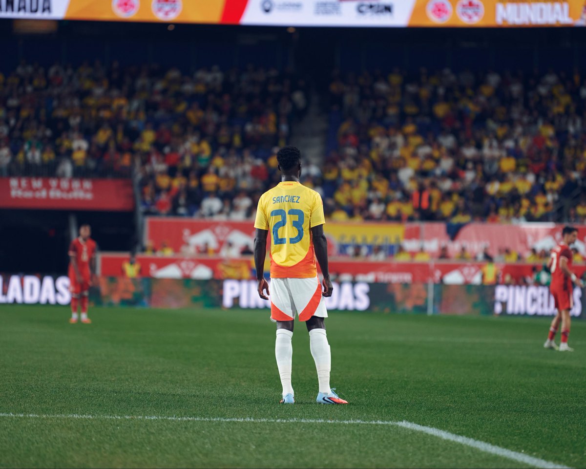 DAVINSON tweet media