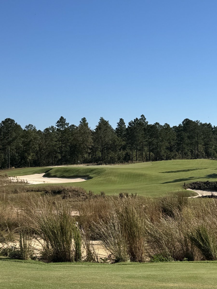 Gil “Handsome” Hanse tweet media