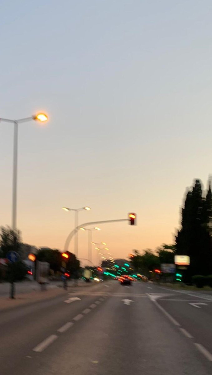 markrib1's tweet image. いつの木？ 🕵️