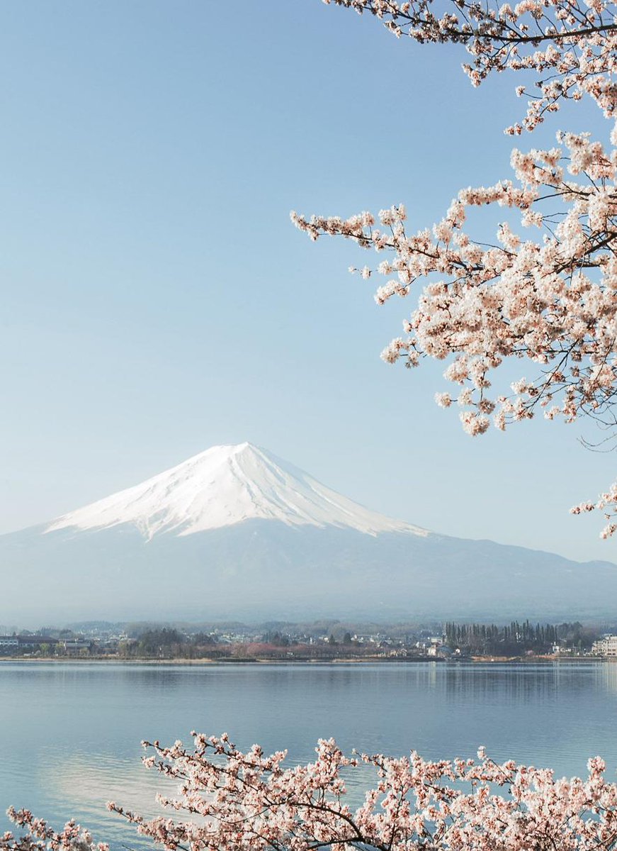 MarketDesigns's tweet image. 大人 #夜活 🧇