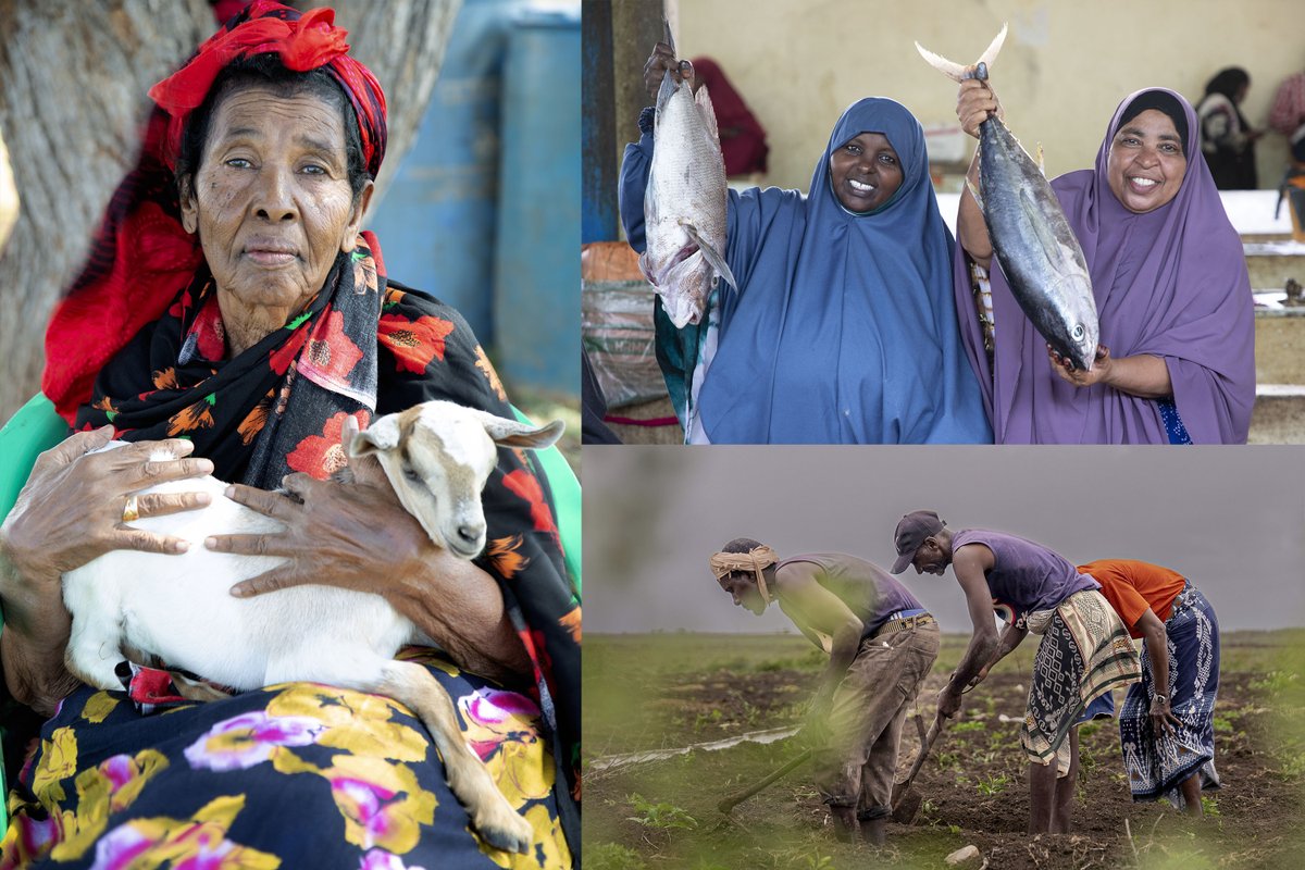 Etienne Peterschmitt tweet media