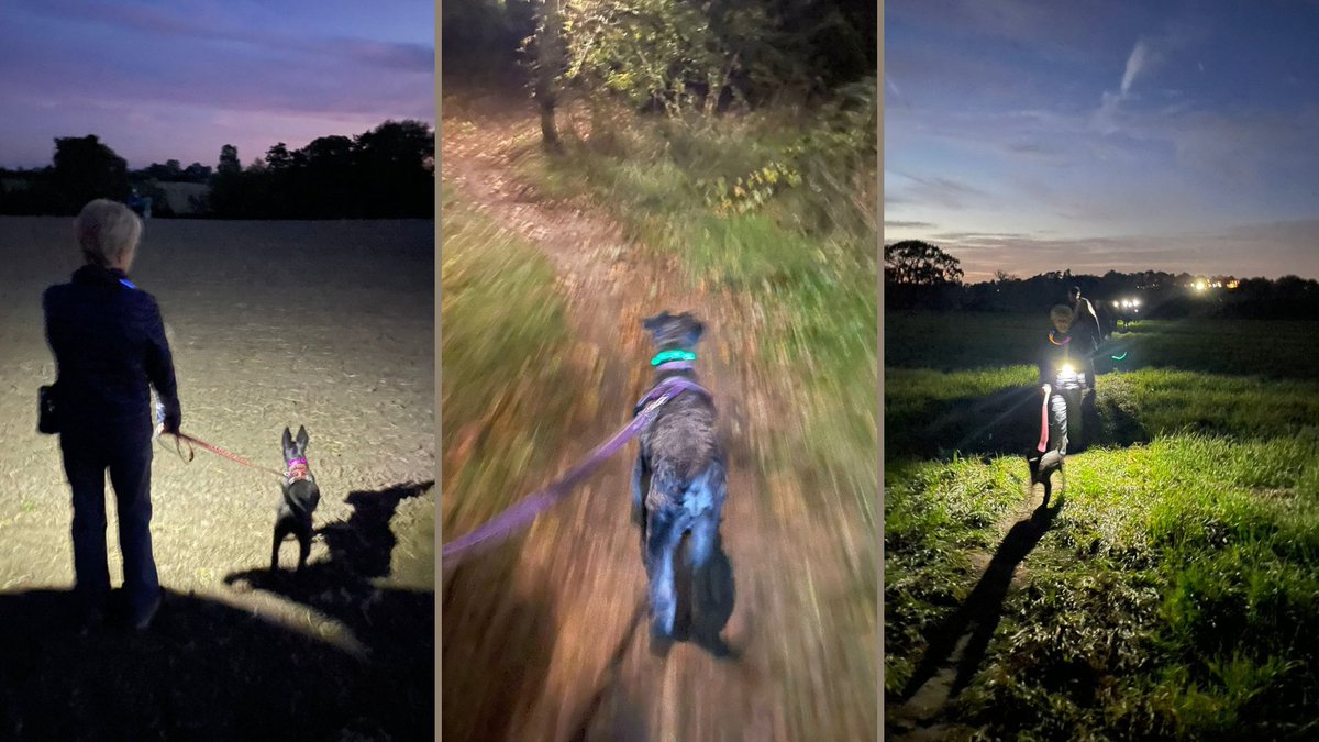 Cameron Grant Memorial Trust tweet media