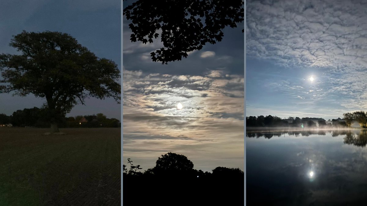 Cameron Grant Memorial Trust tweet media