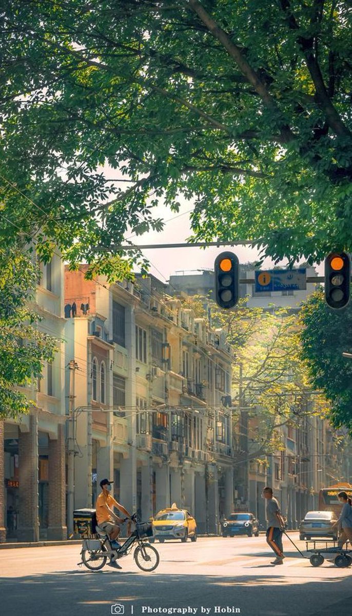 miho_tanosimu's tweet image. 甘い勉強 🐬