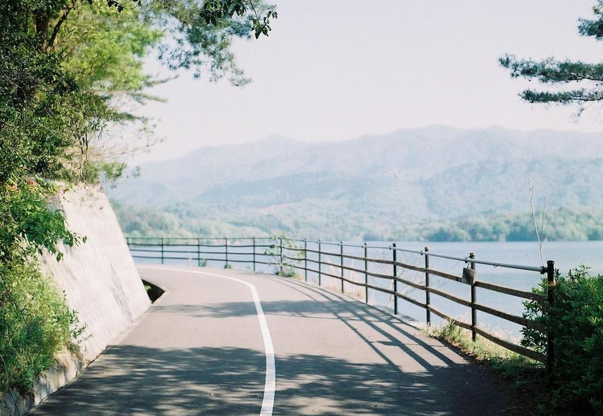 mega7423's tweet image. 恋人を泳ぐ 🕷️