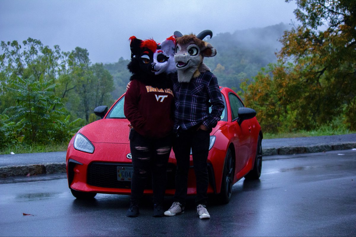Despite the rain, our drive in the mountains was so fun ❤️
🐈‍⬛ <a href="/derpy_satan/">Ember❤️</a> 
#FursuitFriday