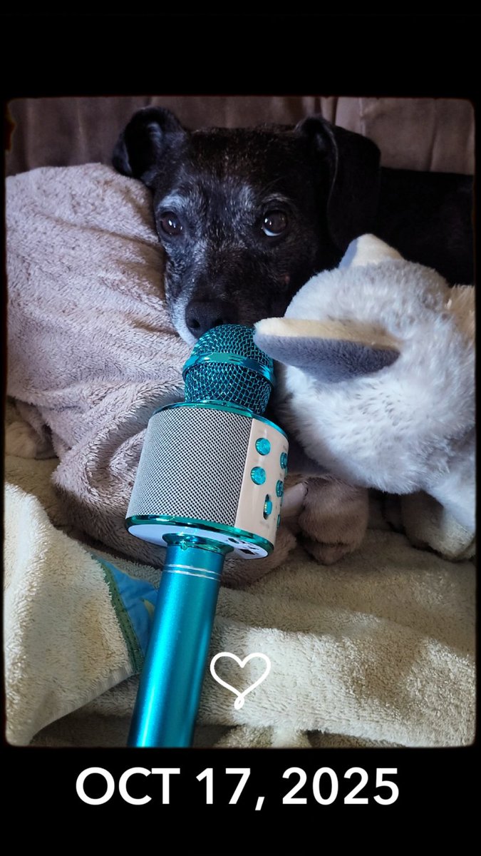 <a href="/timvicious/">Good ol'Irish boy 🇮🇪</a> Samoa says 
Happy
#ViciousKaraokeParty
Friday!