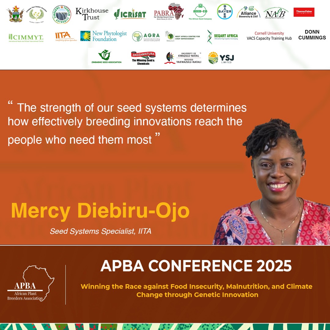 African Plant Breeders Association - APBA tweet media
