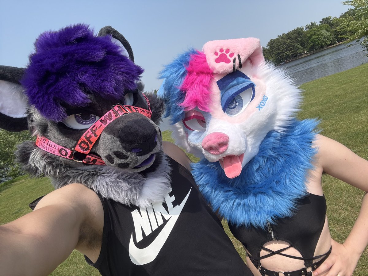 🔞Aiden Collie🔞 tweet media