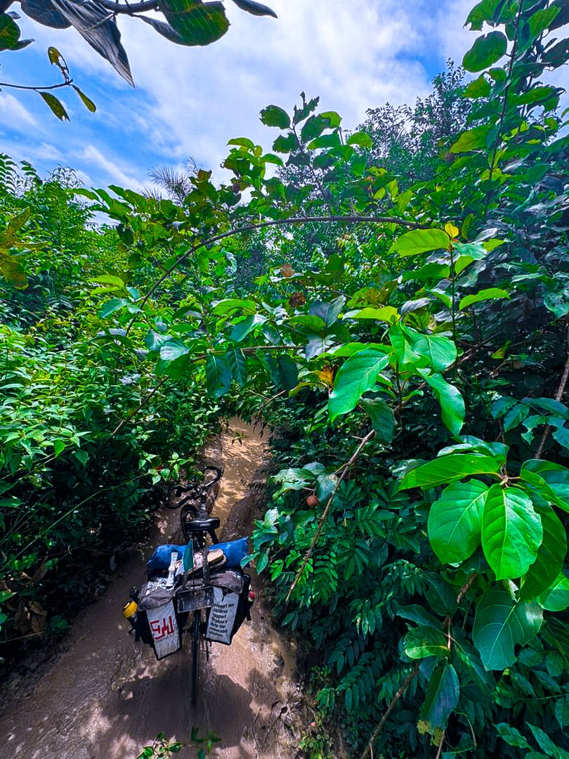 emmiwuks's tweet photo. DAY110 NIG2USA ON A BICYCLE 🇳🇬🚴🇺🇲
The road to Guinea Bissau 🇬🇳➡️🇬🇼
I won’t lie,  I’m super tired. Right now, it feels like the bicycle is the one pushing me.😥

I’ve been trekking and pushing it since morning under this beautiful roads, and the only thought on my mind is to turn back to my Country Nigeria but even the road behind me is just as good. 😥

Sometimes, the toughest part of the journey isn’t the distance,  it’s finding the strength to keep moving when your body says no, but your purpose says don’t stop. 
But at this point, I'll agree with my  Body.😥

#NIG2USA #adventure
