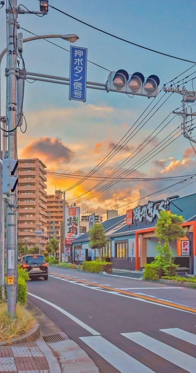 MsAnneQF's tweet image. 今買い物を始める 🐷