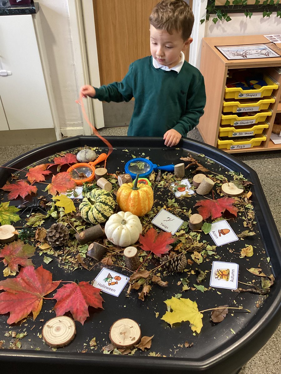 We have been enjoying lots of different Autumn activities over the last few weeks! 

<a href="/TeamManorGreen/">Manor Green Primary #ReadyRespectfulSafe</a>