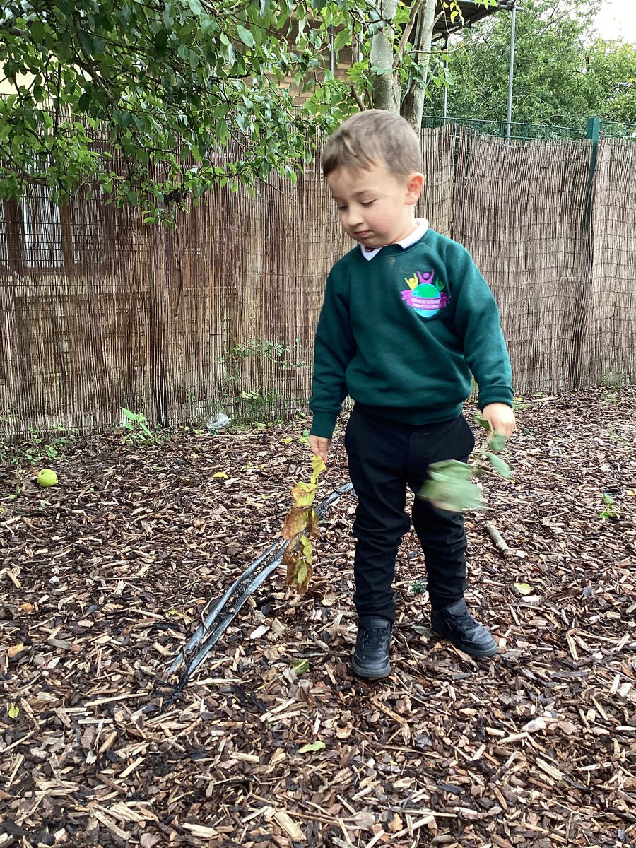 Miss Bell tweet media