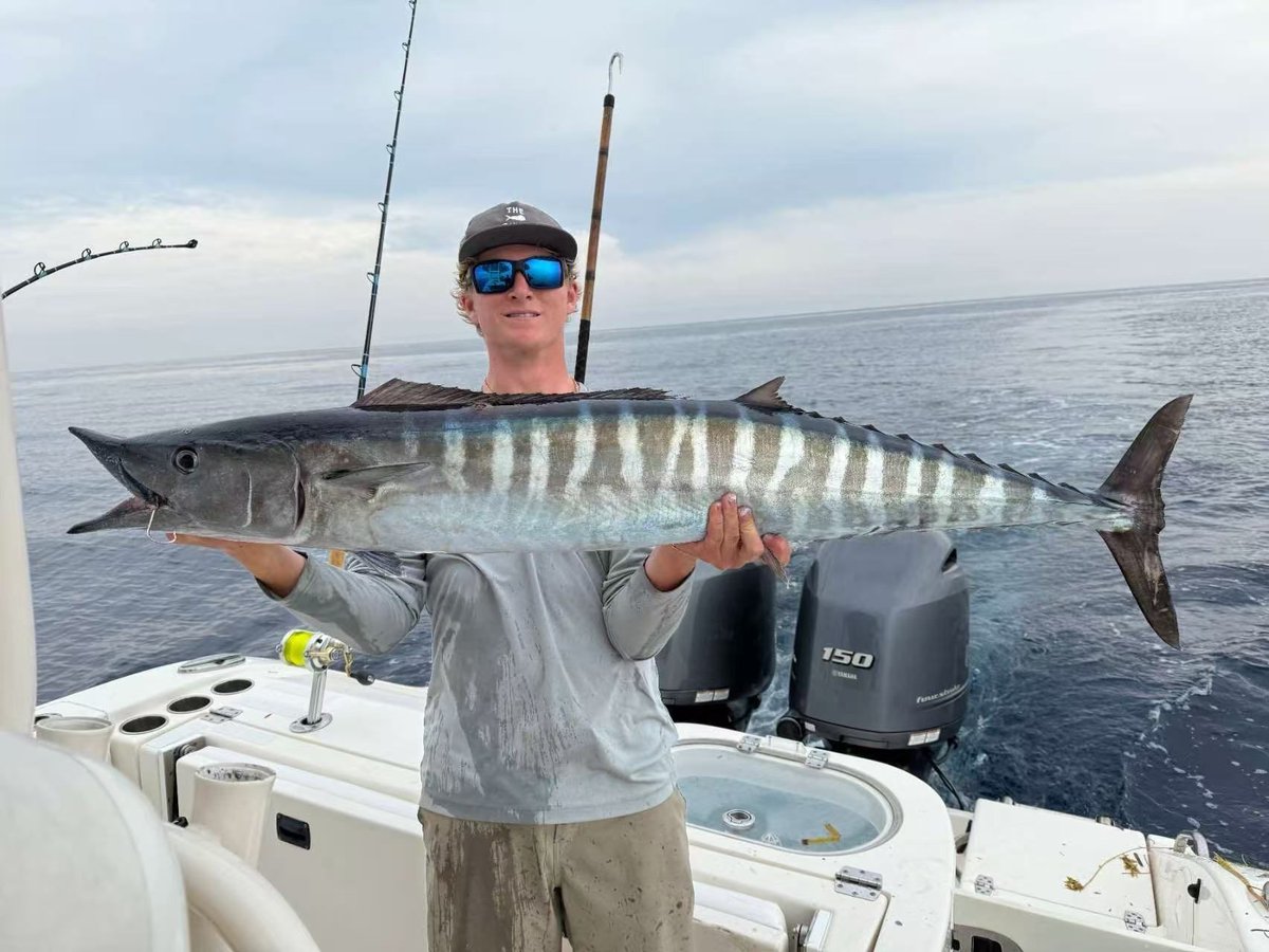 BlueWingFishing's tweet photo. Built with 316 SS and lifelike action, it’s a must-have for big game fish
We offer a full lineup of spreader bars designed for every position in your trolling spread，from formation bars for the center or long positions to wave bars ideal for choppy conditions and side placements https://t.co/FAr8tZLLQX