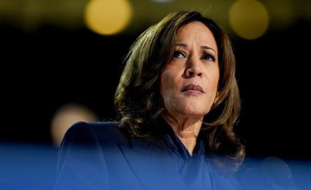 shinemycrown's tweet image. Kamala Harris Rejects ‘Glass Cliff’ Label, Reflects on Her 107-Day Presidential Run shinemycrown.com/kamala-harris-… #KamalaHarris #PoliticalCampaign #2024Election #GlassCliff #WomenInPolitics