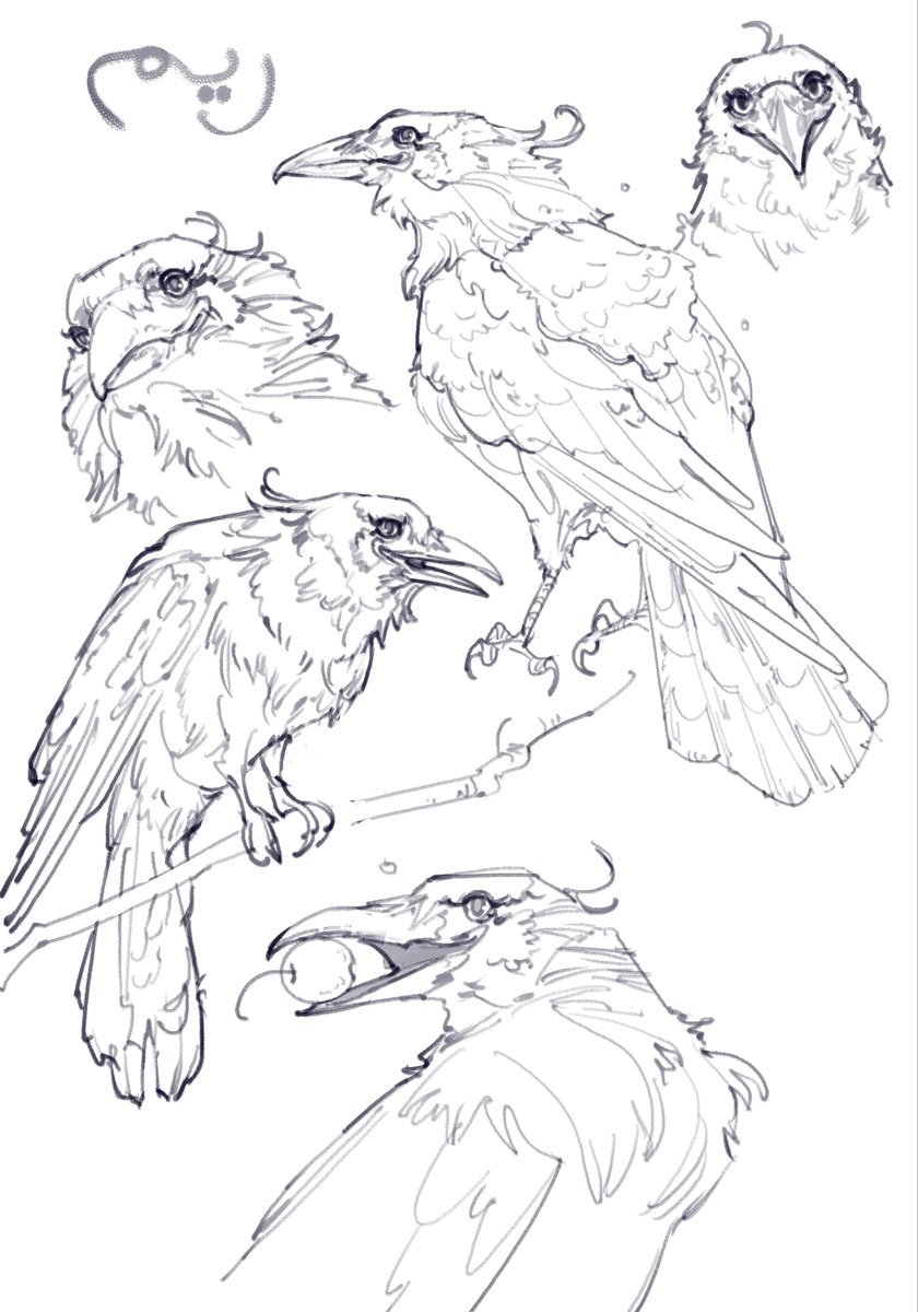 _AzizAlharthi's tweet image. شغال على شي..