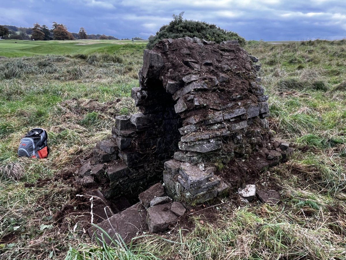 Fergal McBride Sheehy tweet media