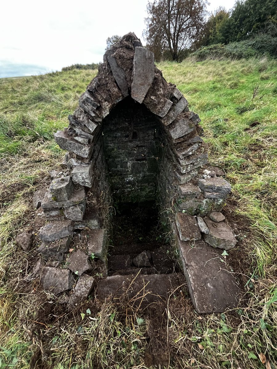 Fergal McBride Sheehy tweet media