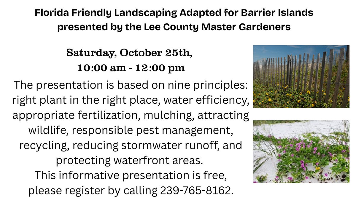 Beach Library tweet media