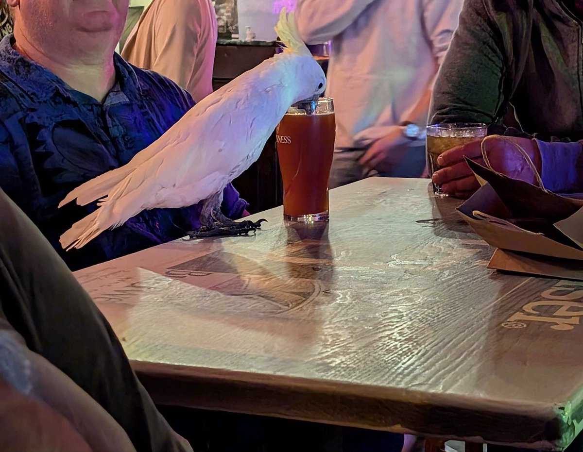 Twitchcon function so lit the buzz (bird huzz) pulled up for drinks
