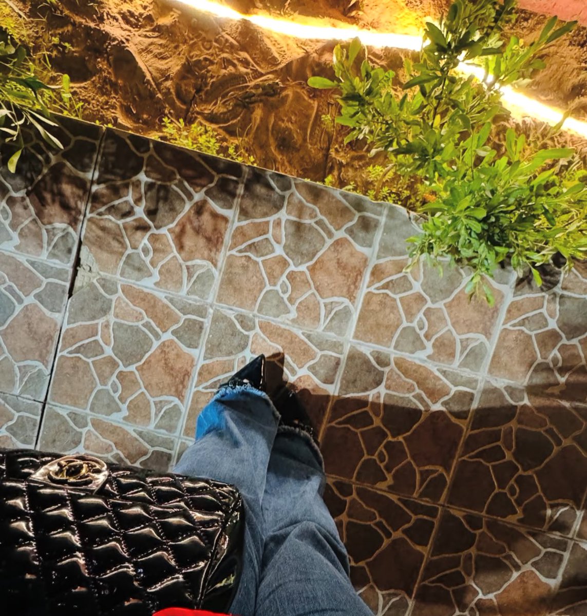 غـريب خـريف هـالسنه .. بـلش بـالاشخاص قـبل الاوراق🪽🕯️
#بوح_آخر_الليل

 #مساء_الخير