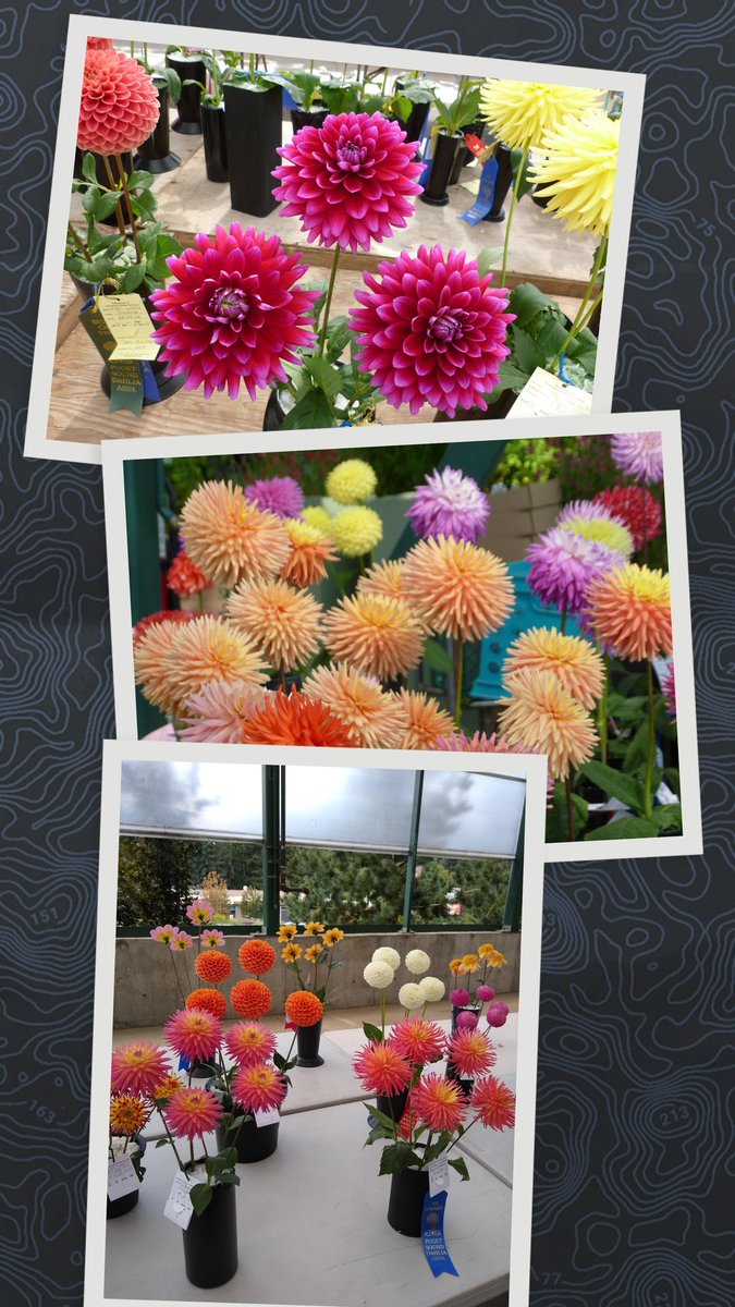 Michael A Martin tweet media