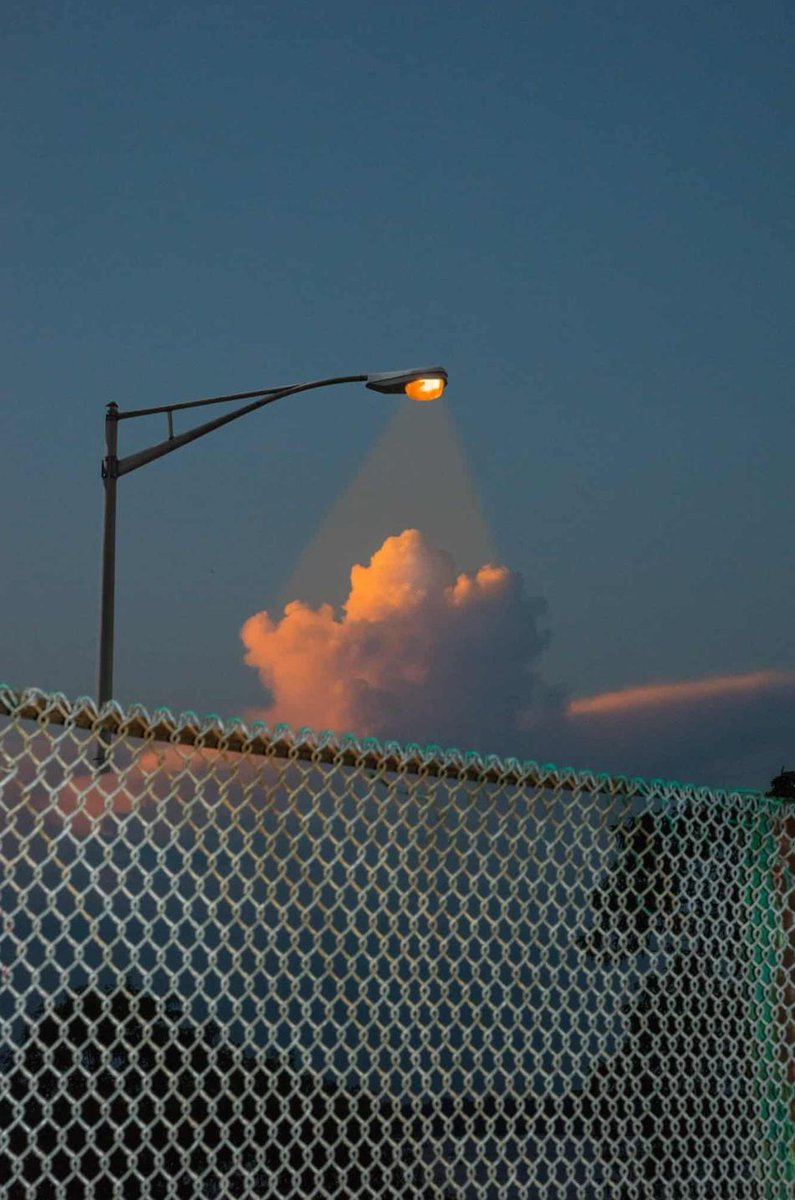 NovKage's tweet image. 57歩 🎅