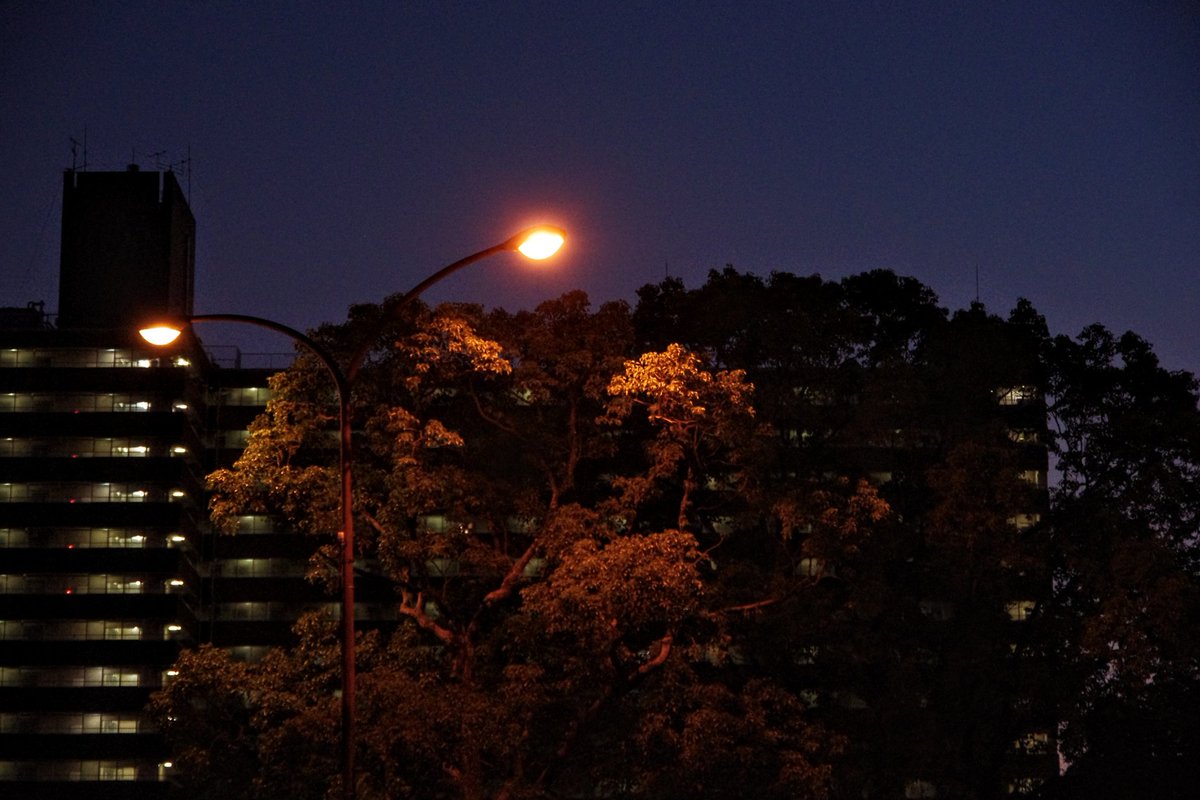 Yoshizo (@huerumegane) on Twitter photo 