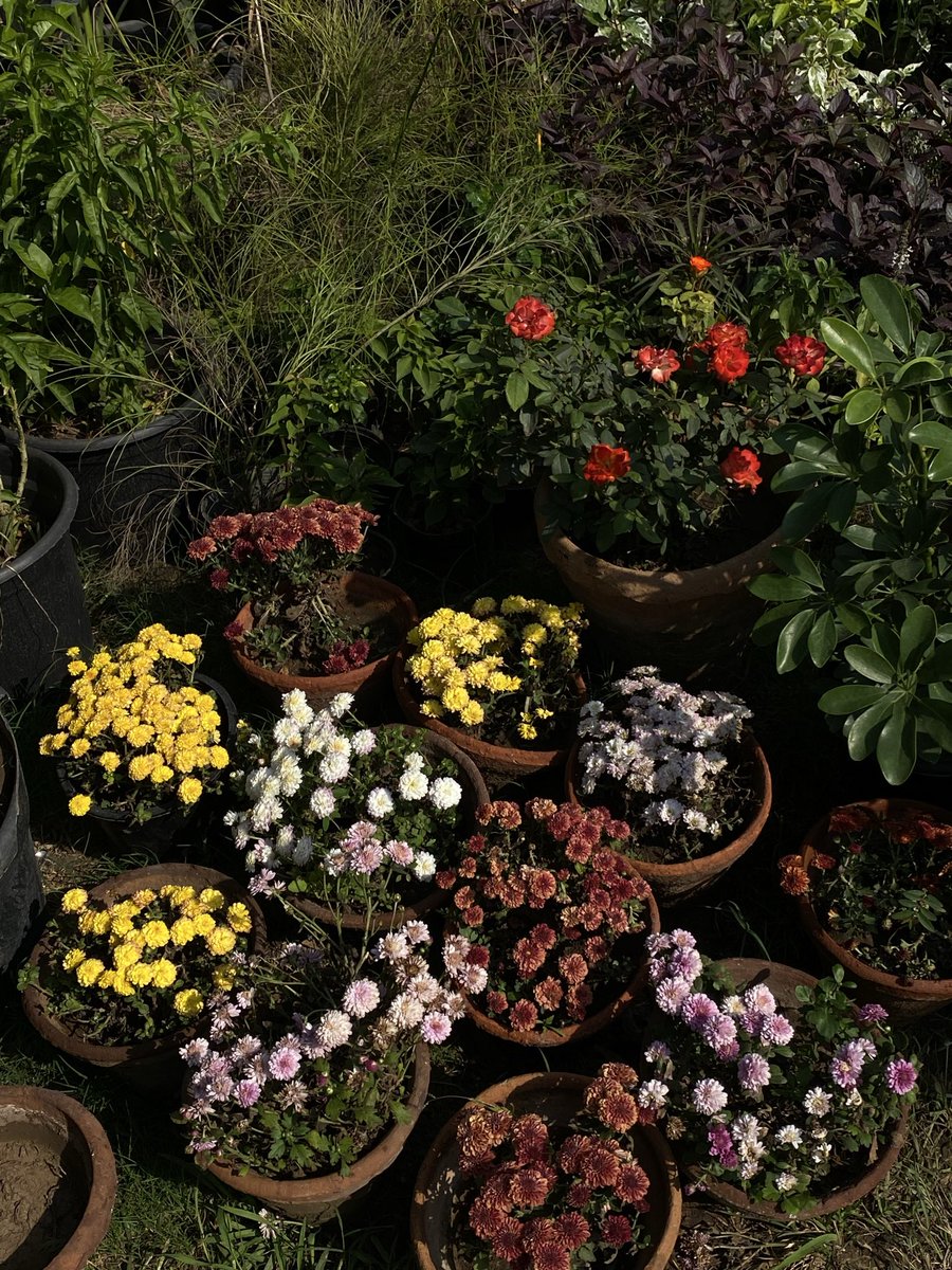 reconnected with nature enough to spend the rest of the month brain rotting