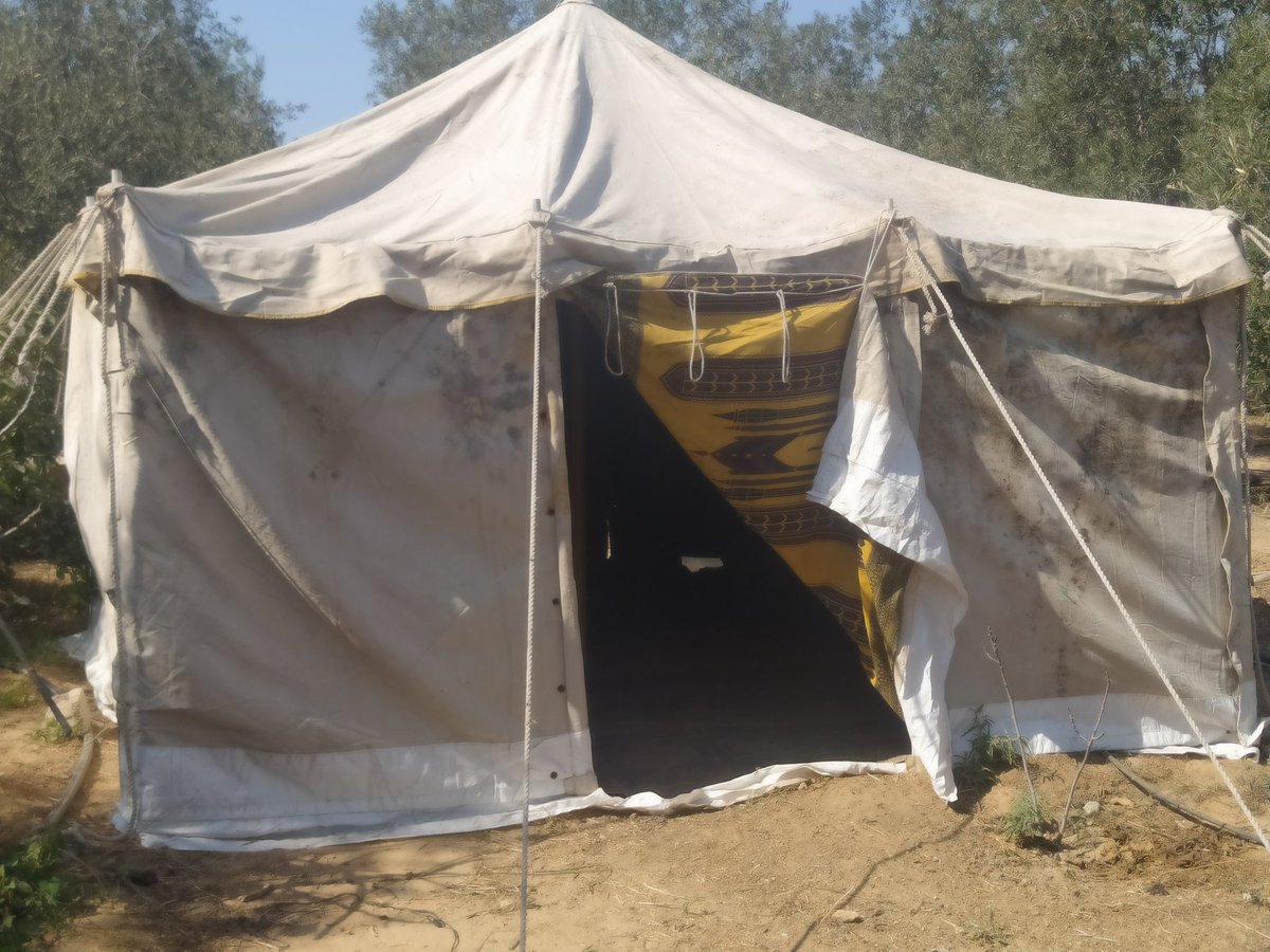 D4555da's tweet image. The war in Gaza may be over, but I still haven’t received the money I need for treatment and food. If you can, please support us.
chuffed.org/project/142890…