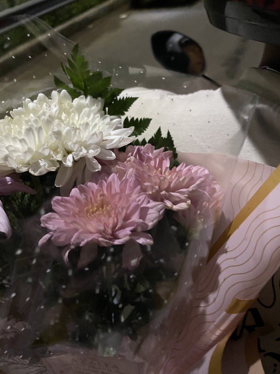 6louwds's tweet photo. he give me a flower guys.. 🥺🫶🏻 https://t.co/15kxGQ0rQm