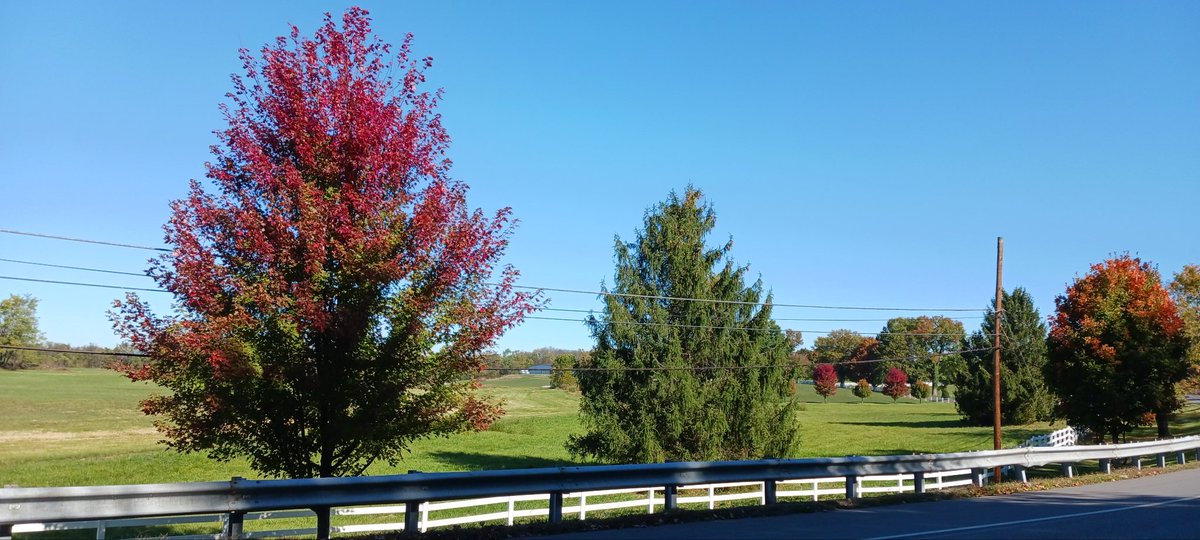 My #FridayVibes are just in love with the beauty of fall colors everywhere 😍❤️🍂🍁🤗 I love this time of year