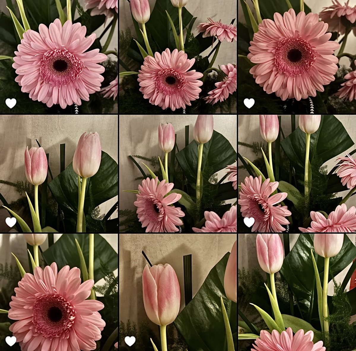 a girl obsessed with flowers