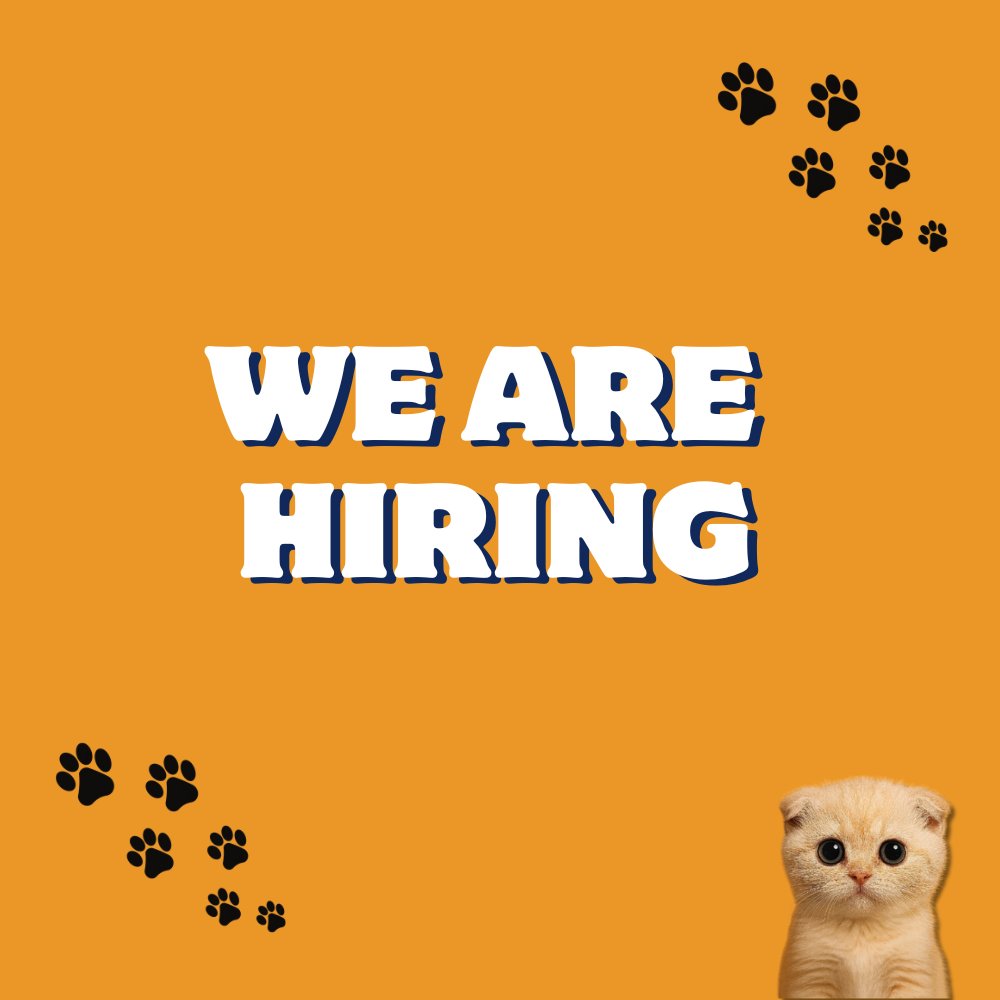 sachi_coin's tweet image. 🚀 We’re Expanding! Join the SACHI Team 🧡
We’re looking for a crack graphic artist to join our growing team!
If you’re passionate about delivering fast, high-quality work and have solid experience creating NFT-style art, we want to work with you.
🎨 Requirements:
- Proven…