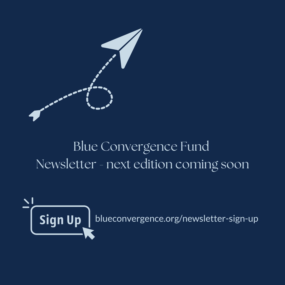 Blue_Convergence_Fund tweet media